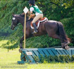 Friesian Heritage Horse mare-Aurora Borealis von Jorrit with Melissa Kanzelberger