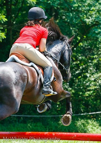 Friesian Heritage Horse mare-Aurora Borealis von Jorrit with Melissa Kanzelberger