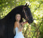 Friesian stallion-Aede K. & Emmanuelle Martin