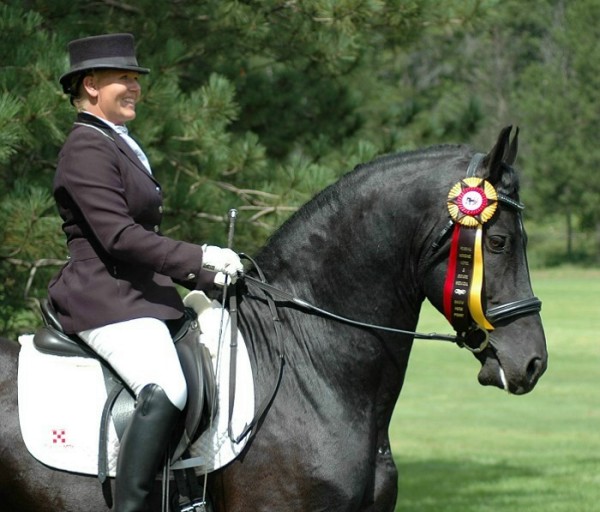 Friesian Stallion Mago of Carisbrooke with rider Tyra Vernon