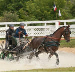 Savannag Rose CDE-Friesian Heritage horse