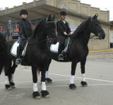 Hershey & Claire (Left), Truus & Ingrid (Right)