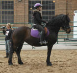 Sophia Rose with rider Laura Rauchwater