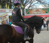 Sophia Rose with rider Laura Rauchwater