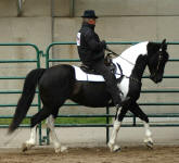 Beyhan & Keith Becklin-Minnesota Horse Expo 2012