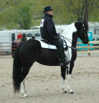 Beyhan & Keith Becklin-Minnesota Horse Expo 2012