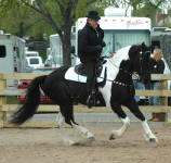 Beyhan & Keith Becklin-Minnesota Horse Expo 2012