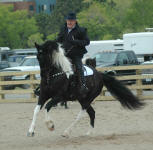 Beyhan & Keith Becklin-Minnesota Horse Expo 2012