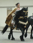 Friesian Stallion-Dante of Carisbrooke ridden by Lisa Parrott