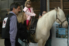 Heritage Pony Stallion-Doubly Bubbly