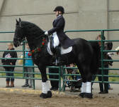 Brittany with Approved stallion Elijah