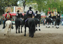 The Friesian Heritage Horse Group