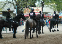 The Friesian Heritage Horse Group