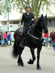 Avalon's Majestic Knight ridden by Savannah Hanson