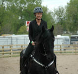 Avalon's Majestic Knight ridden by Savannah Hanson