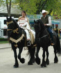 Friesian stallions-Carisbrooke's Dante & Milan ridden by Lisa & Moy