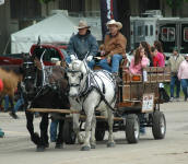 Percheron Team