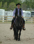 Regal of Legend Woods ridden by Jeff  Gryskiewicz