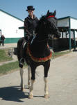 Noni (gelding) & Tristan