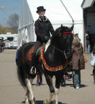 Noni (gelding) & Tristan