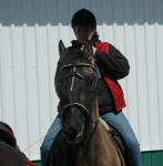 Phoenix (gelding) & Brooke