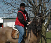 Phoenix (gelding) & Brooke