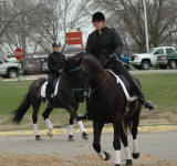 Renegade (gelding) & Hayley