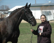 Moonlight Sonata (mare) & Violetta