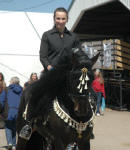 Friesian Heritage Horse-Vanda