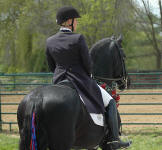 Tyra Vernon & Carisbrooke's El Dante