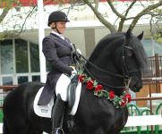 Tyra Vernon & Carisbrooke's El Dante