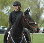 Hula Girl at Heart (aka Savannah) ridden by Kristen Everts