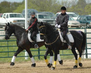 Renegade & Hayley and Naaymia & Brianna