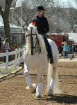 Mystic Warrior ridden by Tristan Metzner