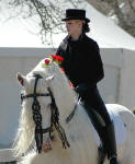 Mystic Warrior ridden by Tristan Metzner