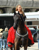 Friesian gelding Douwe-Ridden by Sandra Beaulieu