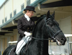 Friesian stallion Steffen S-Ridden by Danielle Barrasso
