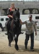 Friesian stallion Zesus from ABOC-Owned by Rob & Mary Ann Ziegler