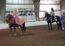 Part Bred Costume Class at IFSHA 2009