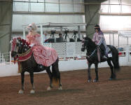 Part Bred Costume Class at IFSHA 2009