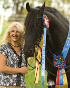 Friesian Sport Horse Designated Stallion Diederik-3rd Level Dressage