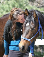 Friesian Heritage horse Saphira's Liberty & Vic